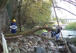 Tagliate le piante nel Maira che impedivano il normale deflusso dell'acqua